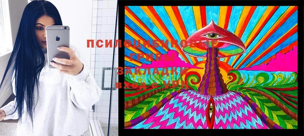 дживик Бородино