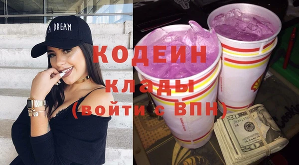 дживик Бородино
