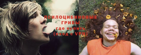 дживик Бородино